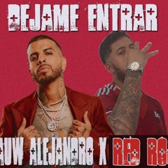 Rauw Alejandro x Red Bear - DEJAME ENTRAR