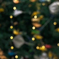 Christmas 1