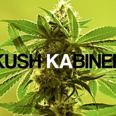 KUSH KABINEN - KERZ (FEAT, MILLY)
