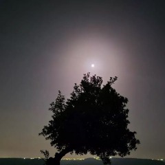 مظفر النواب _ قافية الأقحوان