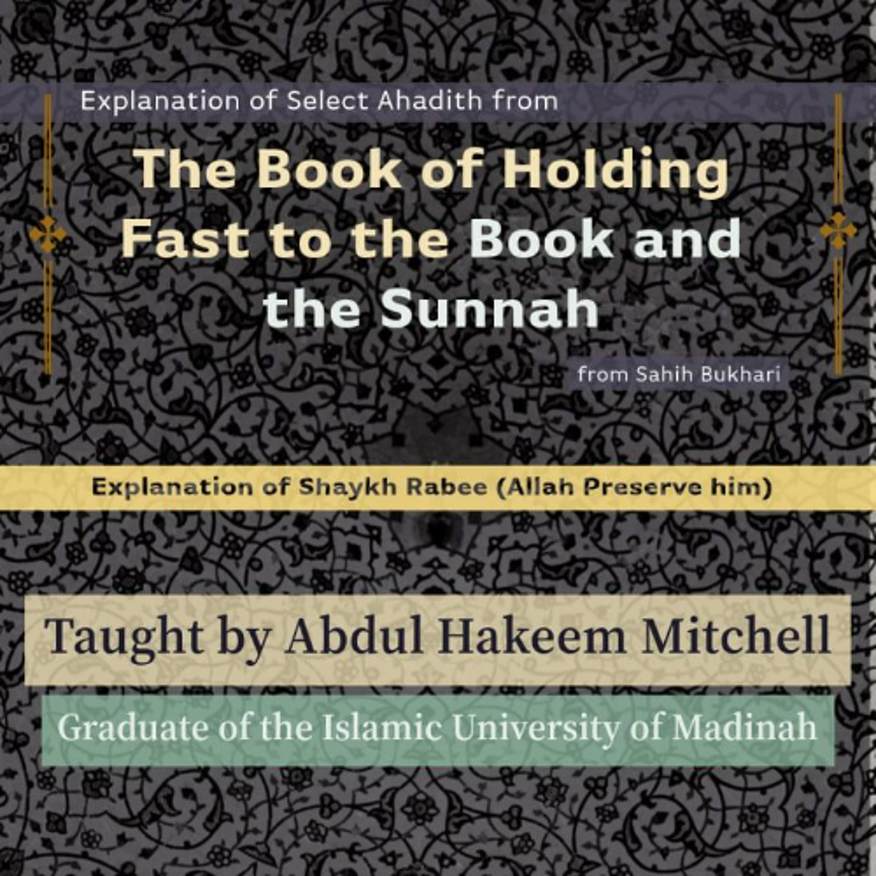 10-  Holding Fast To The Book And The Sunnah From Sahih Bukhari - Abdul Hakeem Mitchell episode artwork