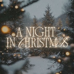 A Night in Christmas