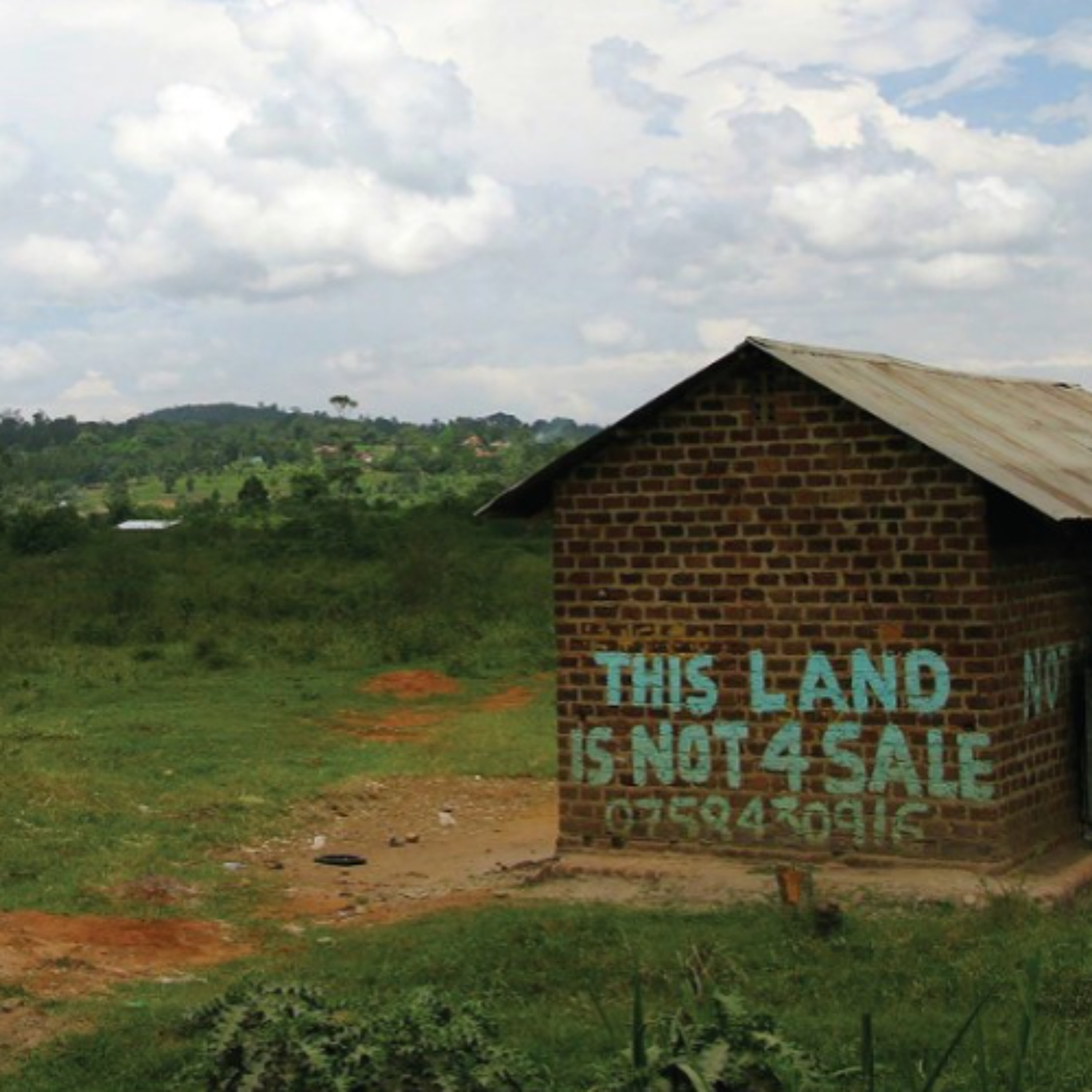 »This Land is not for sale« Radiofeature über Landkonflikte in Uganda episode artwork