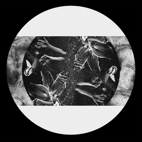 Ana Rs - Zero Dawn [Premiere I  IARLTDT014]