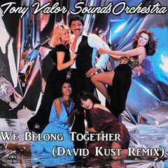 Tony Valor Sounds Orchestra - We Belong Together (David Kust Radio Remix)
