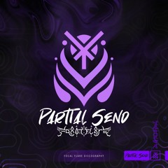 Discography: Partial Send
