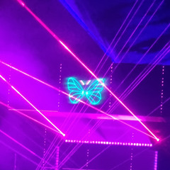 Afternoon steal 27 April 2025