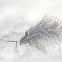 Achromatic Feathers