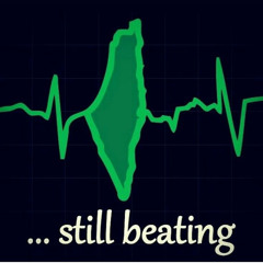 Shanti-Lii - 🇵🇸 Palestine Will Never Die 🇵🇸
