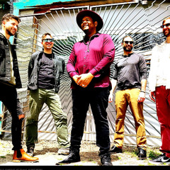 The Fritz - Anything Else