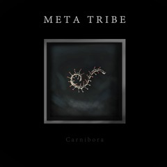 Meta Tribe