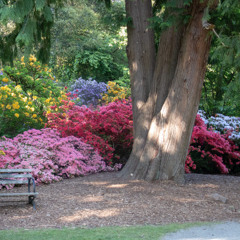 Love Somebody (Maroon 5) - Piano Cover
