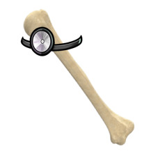 Cookie Run: Ovenbreak: Dr. Bones Cookie’s Trial Theme