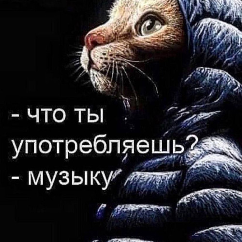 интро