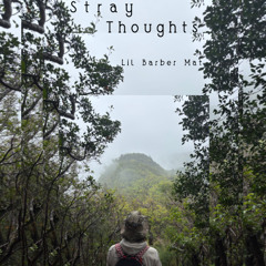 Stray Thoughts