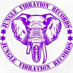 JVR003-Bombah - Riddims And Guns