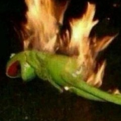 Chromosomes x Xtrappy