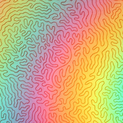 Daffodils Beside The Barn (version 2)