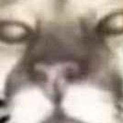 DOOMSPIRE - Last Man Standing (HairyTwinkle VS Pedro.EXE John Doe) slowed + Reverb