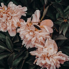 Uplift! Ecstatic Dance Mix