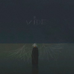 anhesis - vide [resight]