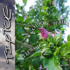 TIPTOE w/ perdie & fo1006