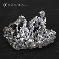 PREMIERE: Valentin Ginies - Transcendental Pulse (Blovk Remix) [11001 Records]