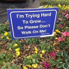 bags clairo toi toda roncaaa