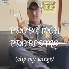SVK Ry - Clip my wings