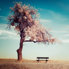 Melancholy (SATB Choir)
