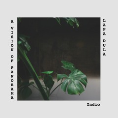 A Vision of Panorama - Indio
