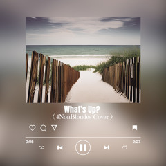 What’s Up? ( 4 Non Blondes Cover)