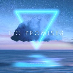 No Promises [Paddy McArdle Remix]