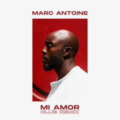 Mi Amor (Club Version)