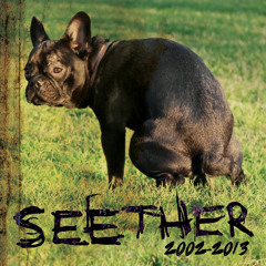 Seether