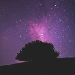 Can I Love You (Prod. 808 don)