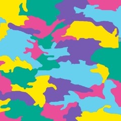 Camoflauge (Stolen Valor)