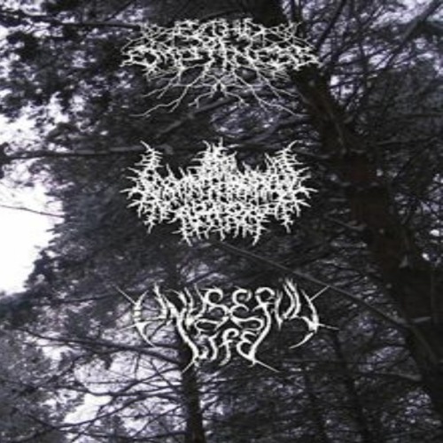Unuseful Life & Echo Of Emptiness - Wanderers Nachtlied