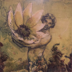 wander thru the wooods