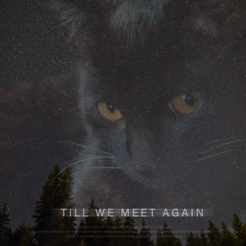 Till we meet again