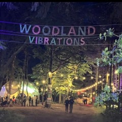 A-tek -Woodland Vibrations 2025 Dj-Set