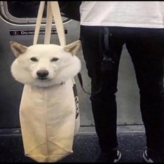 BroBroBro song Bro THIS SHIT IS GARBAGE LOL really old song idontmakemusicanymore didnt even finish it so gotta slow that ting down ya heard