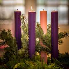 English homily for Nov 30 2025