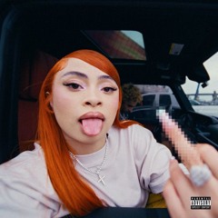 Think U The Shit (Fart) [Big Nut Chuck Remix] - Ice Spice [FREE DOWNLOAD]