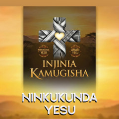 Ninkukunda Yesu