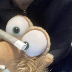 lil $horty - shoe box