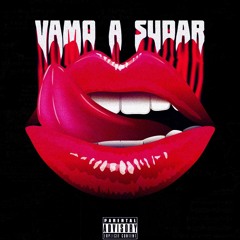Vamo A Sudar - Zhady