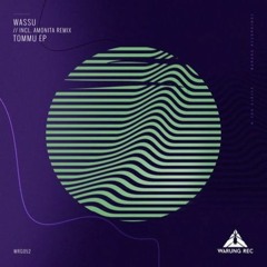 Wassu - Tommu (Amonita Remix)