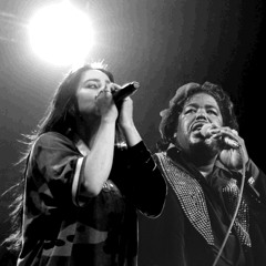Billie Eilish & Barry White - Not Enough Feathers (Mashup) (Song Ends at 3:53)