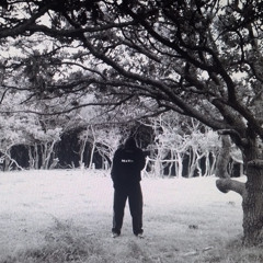 someone like me (prod. LMG x everestdidthis)